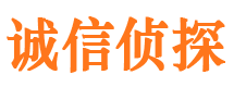 富锦侦探公司